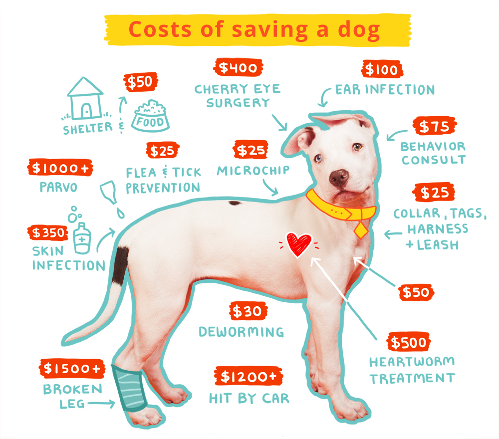 Donate Form Family Dog Rescue San Francisco CA Dog + Human = Family
