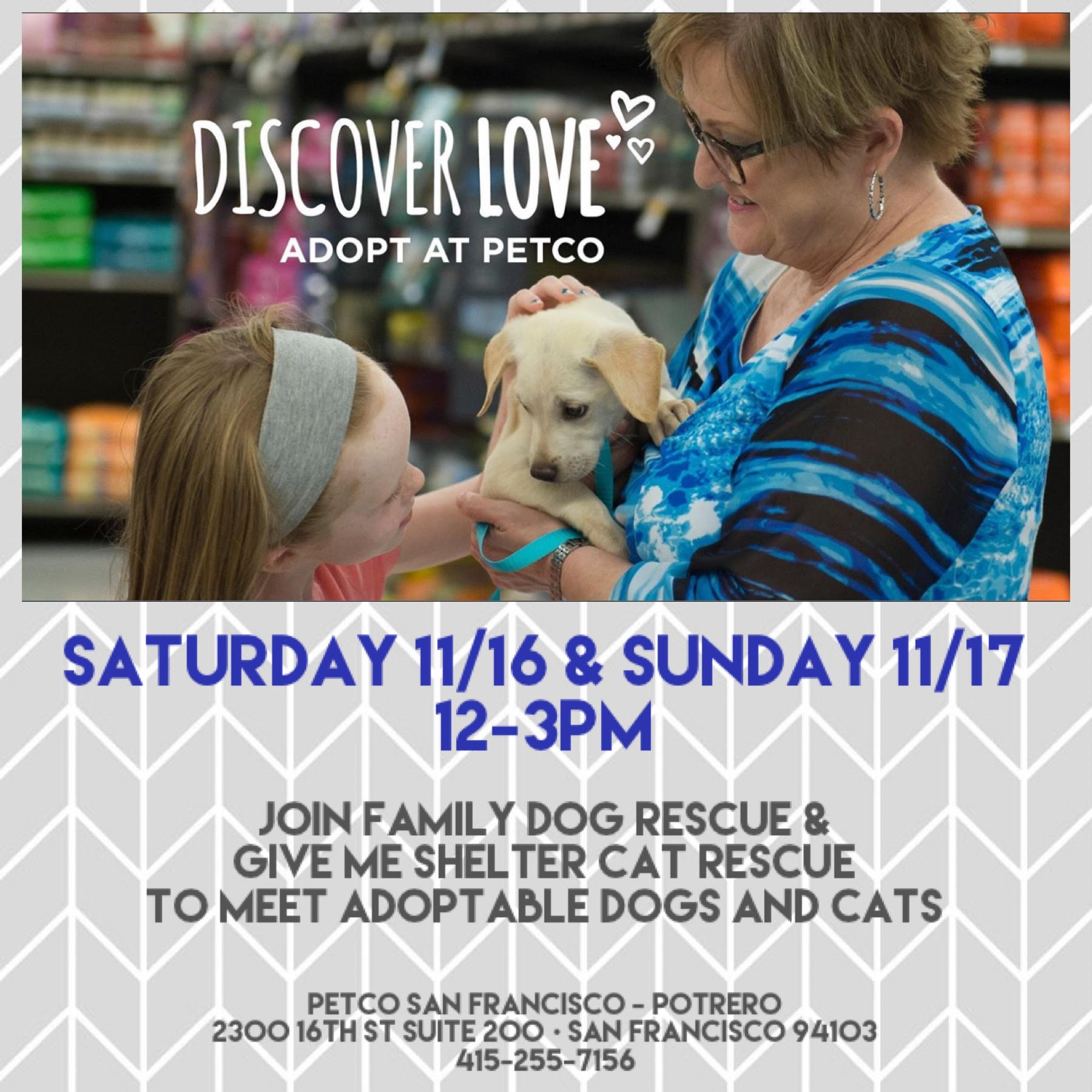 family dog rescue adopt